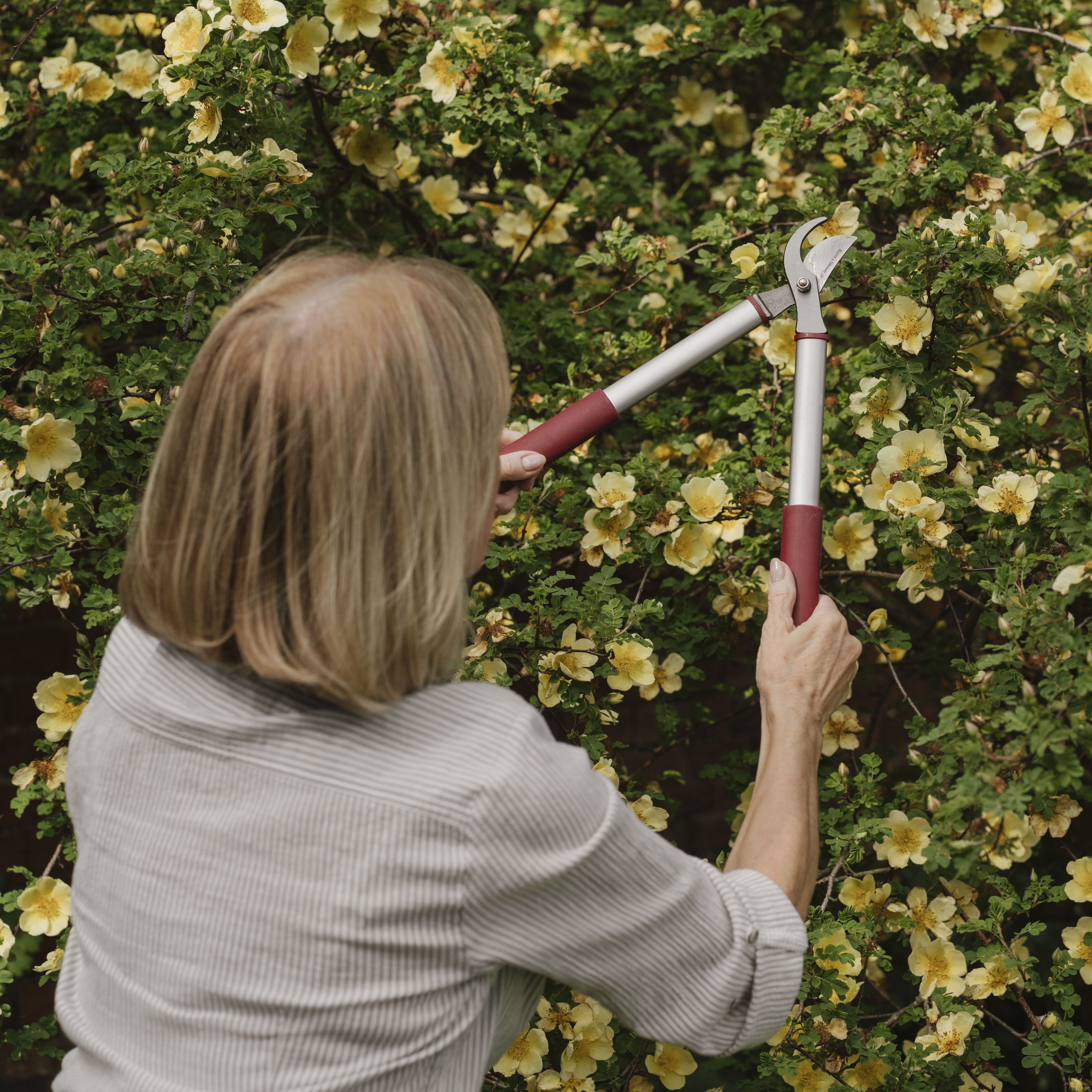 Garden loppers b&q new arrivals