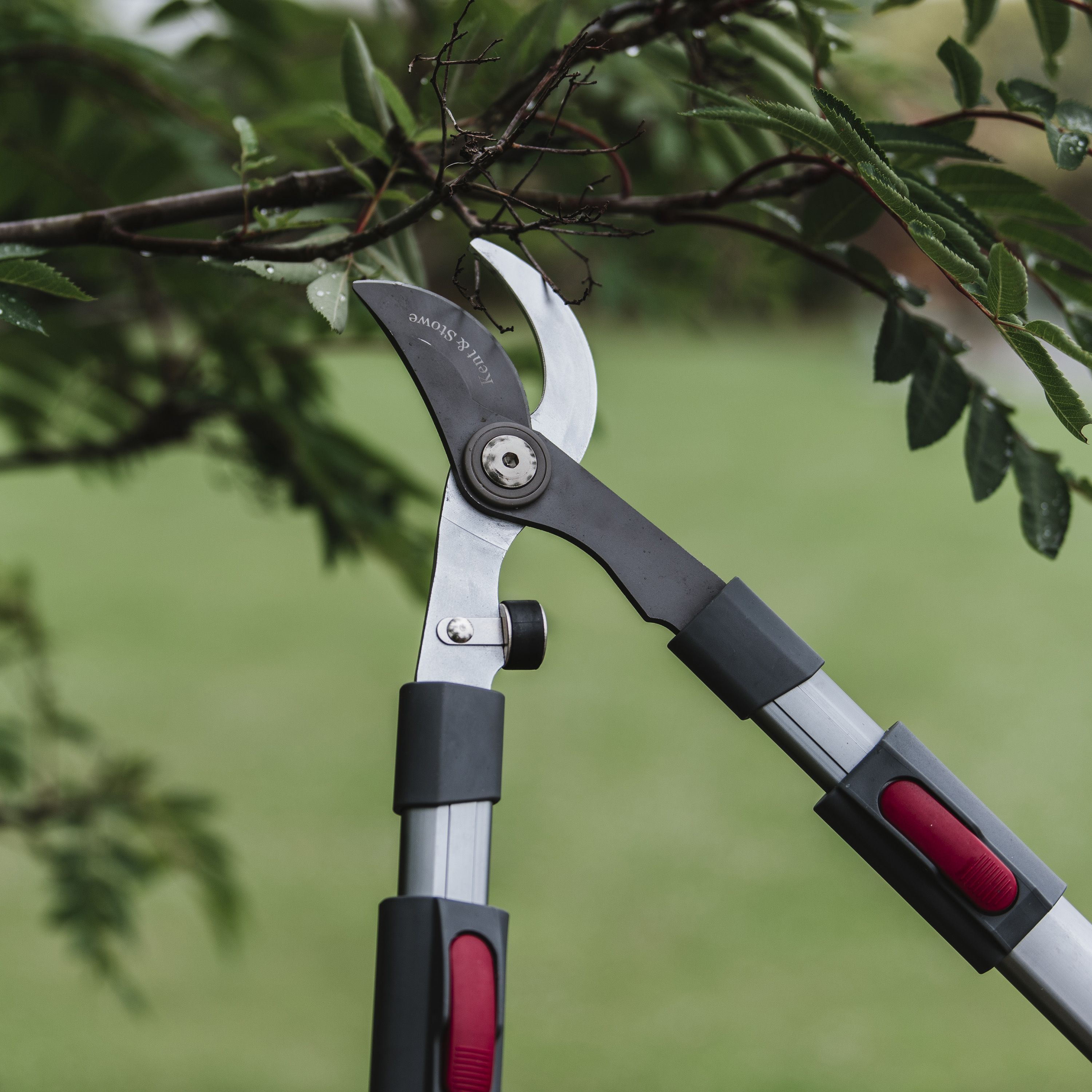 Verve telescopic store tree lopper