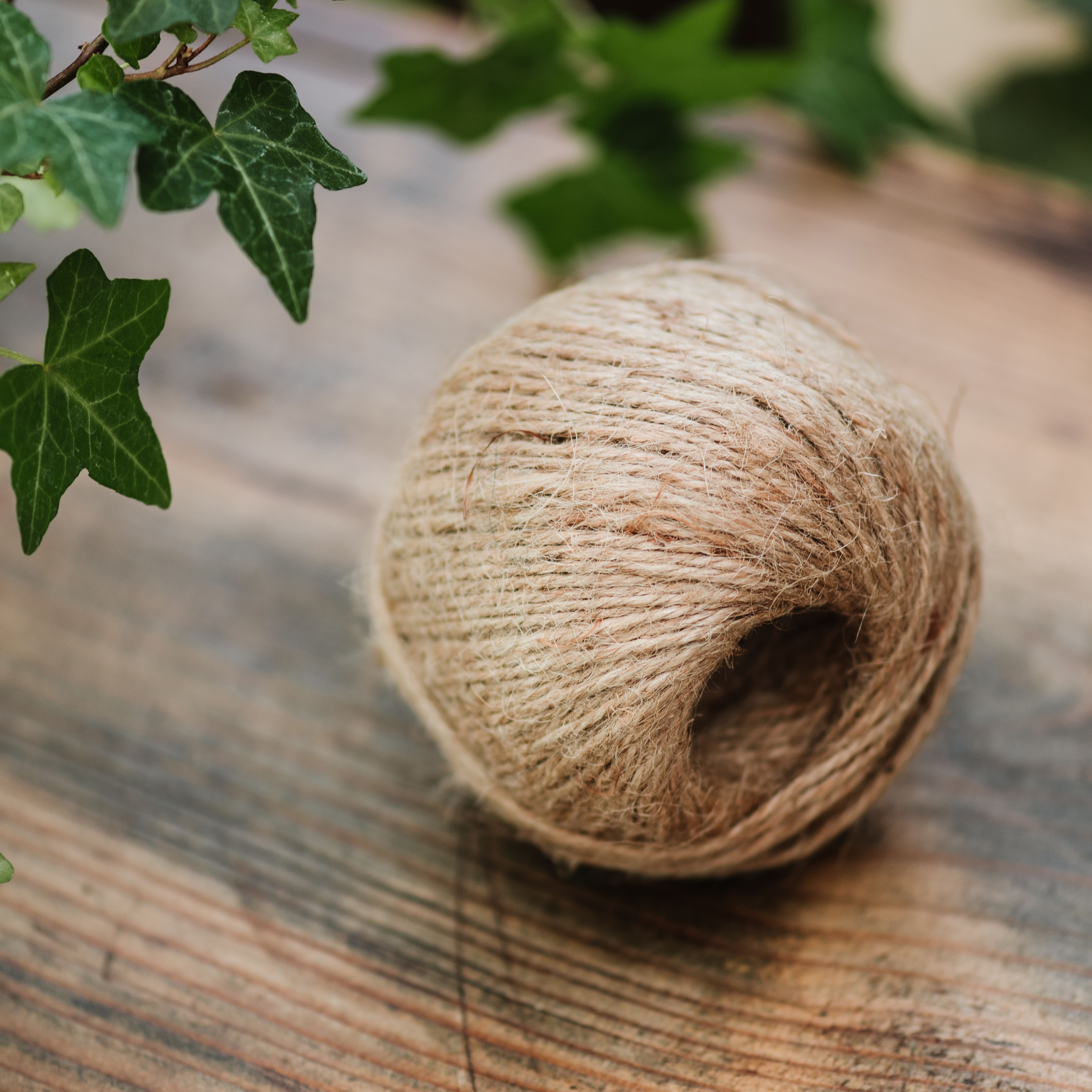 Kent & Stowe Stone Cotton Twine, (L)150m (Dia)3mm