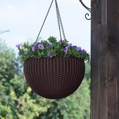 Keter Anthracite Resin Hanging basket, 35.56cm