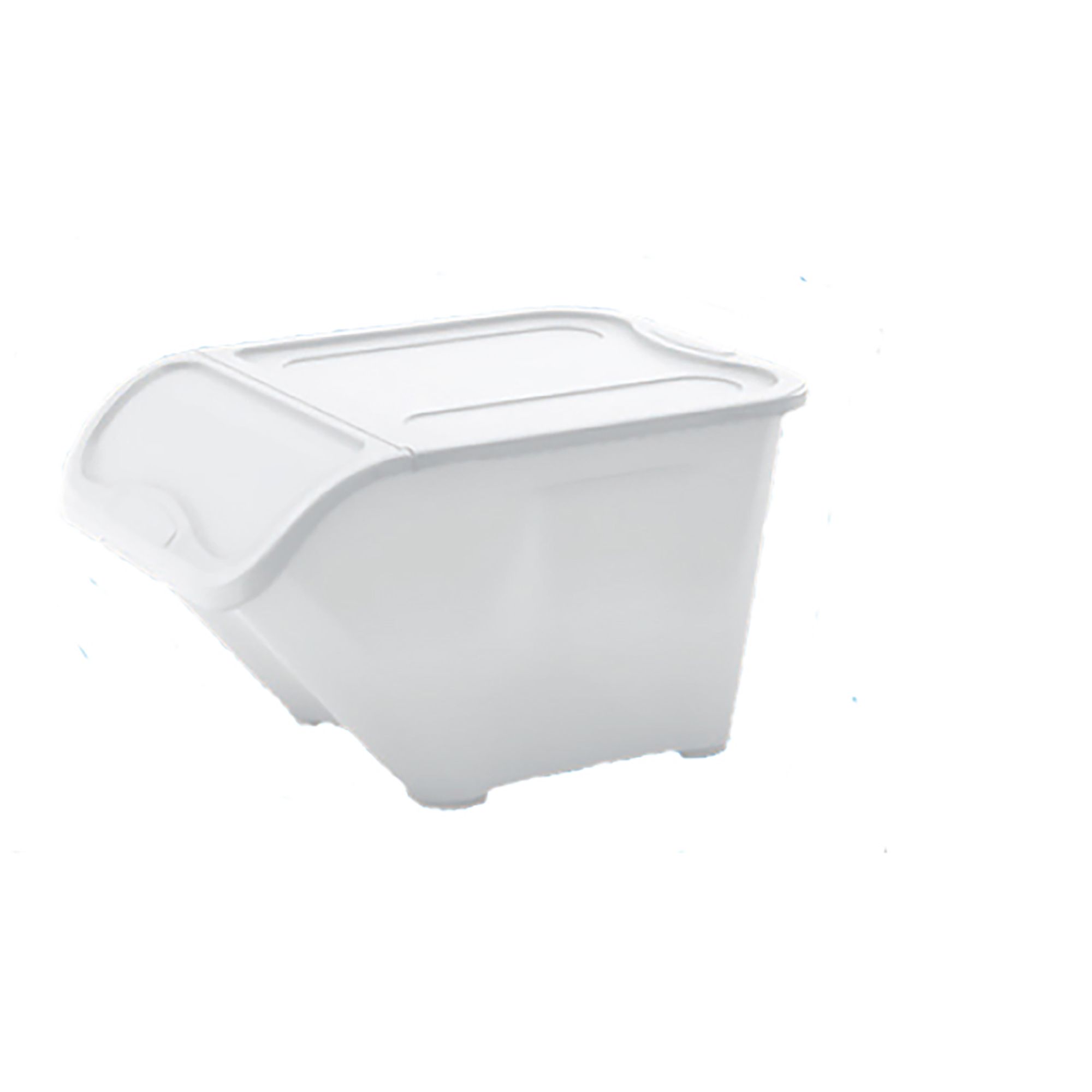 Keter Clear Plastic Storage bin