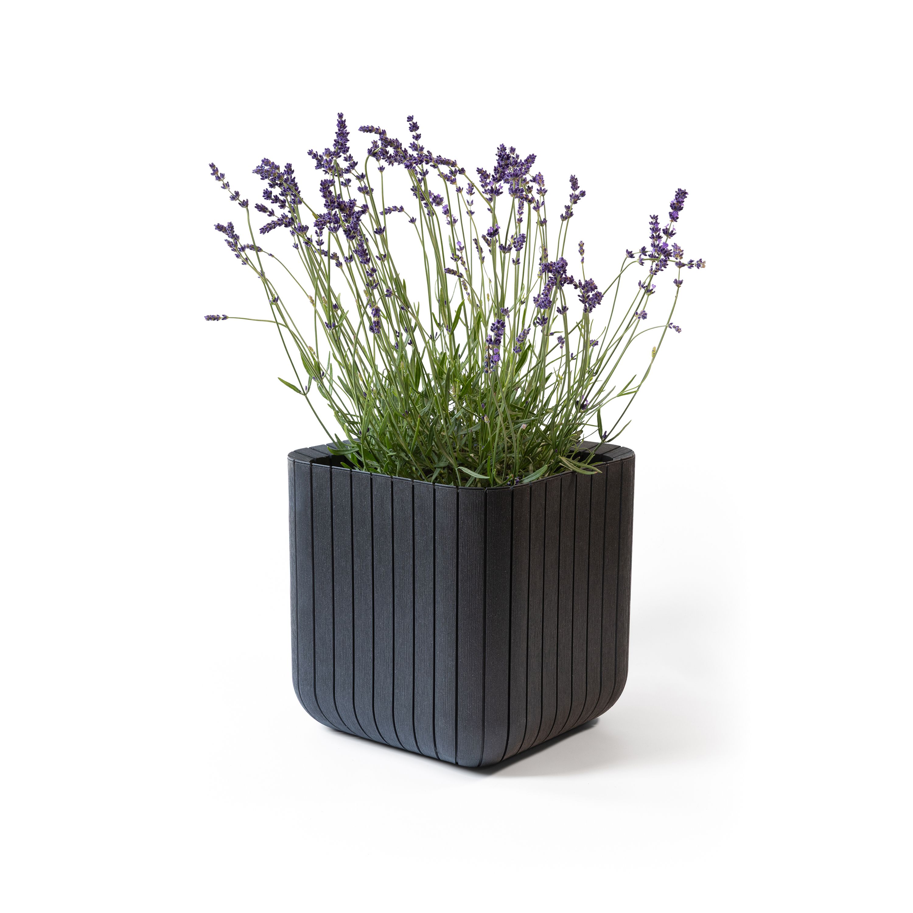 Fioriera Effetto Legno Keter Cube | Vaso Quadrato In Plastica Resistente 39.5 Cm | Antracite Per Esterno Giardino E Terrazzo