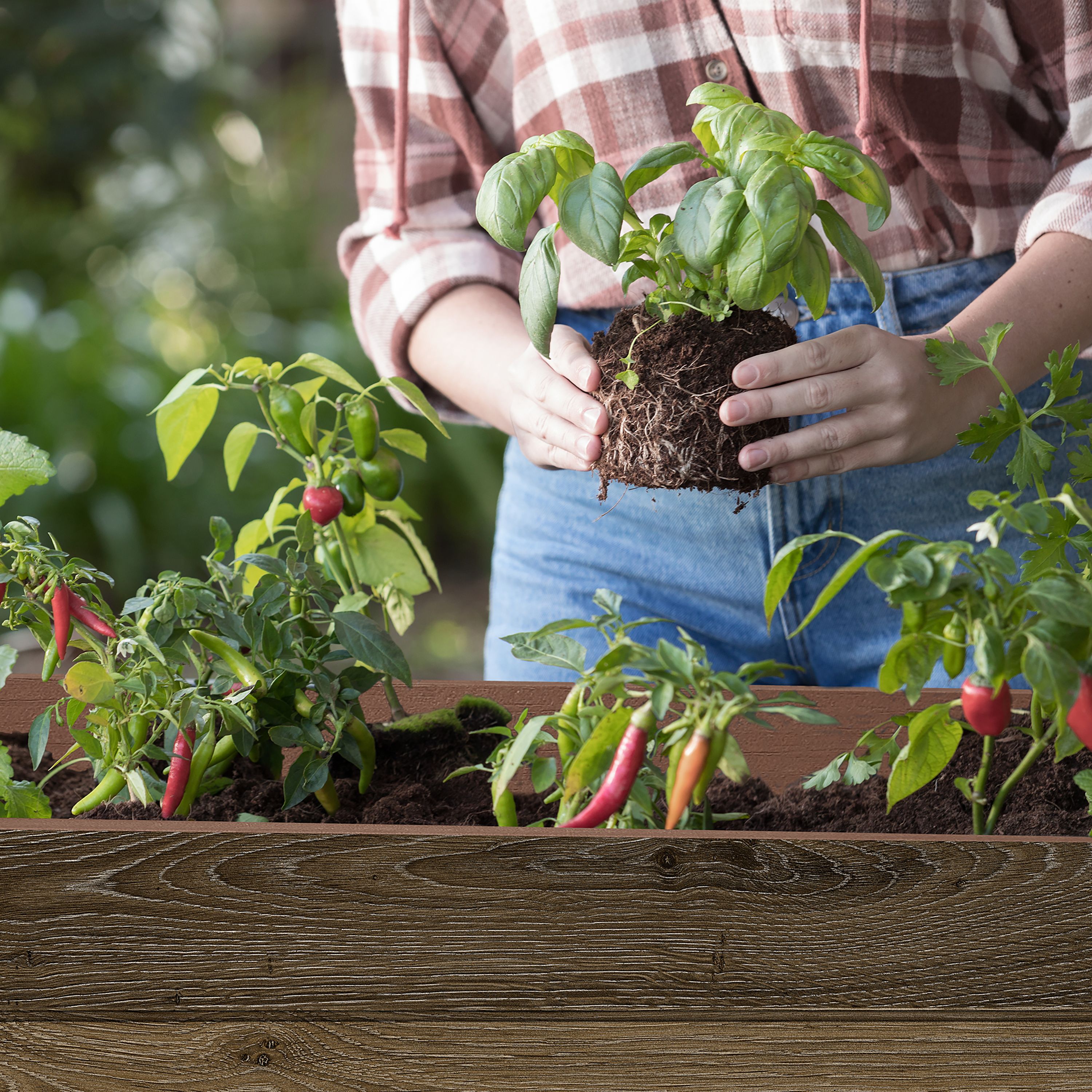 Keter Signature Brown Plastic Rectangular Planter (H)79.8cm (W)113cm (D ...