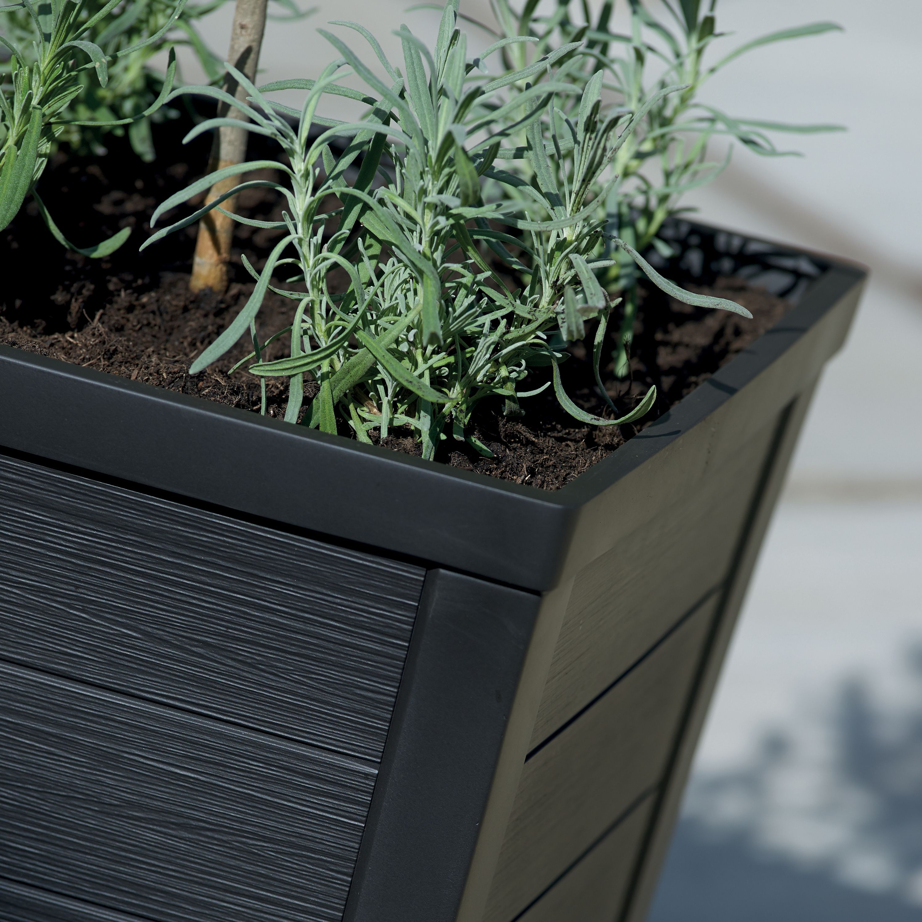 Keter Taper Tall 25L Anthracite Rectangular Planter (H)57cm (W)37cm