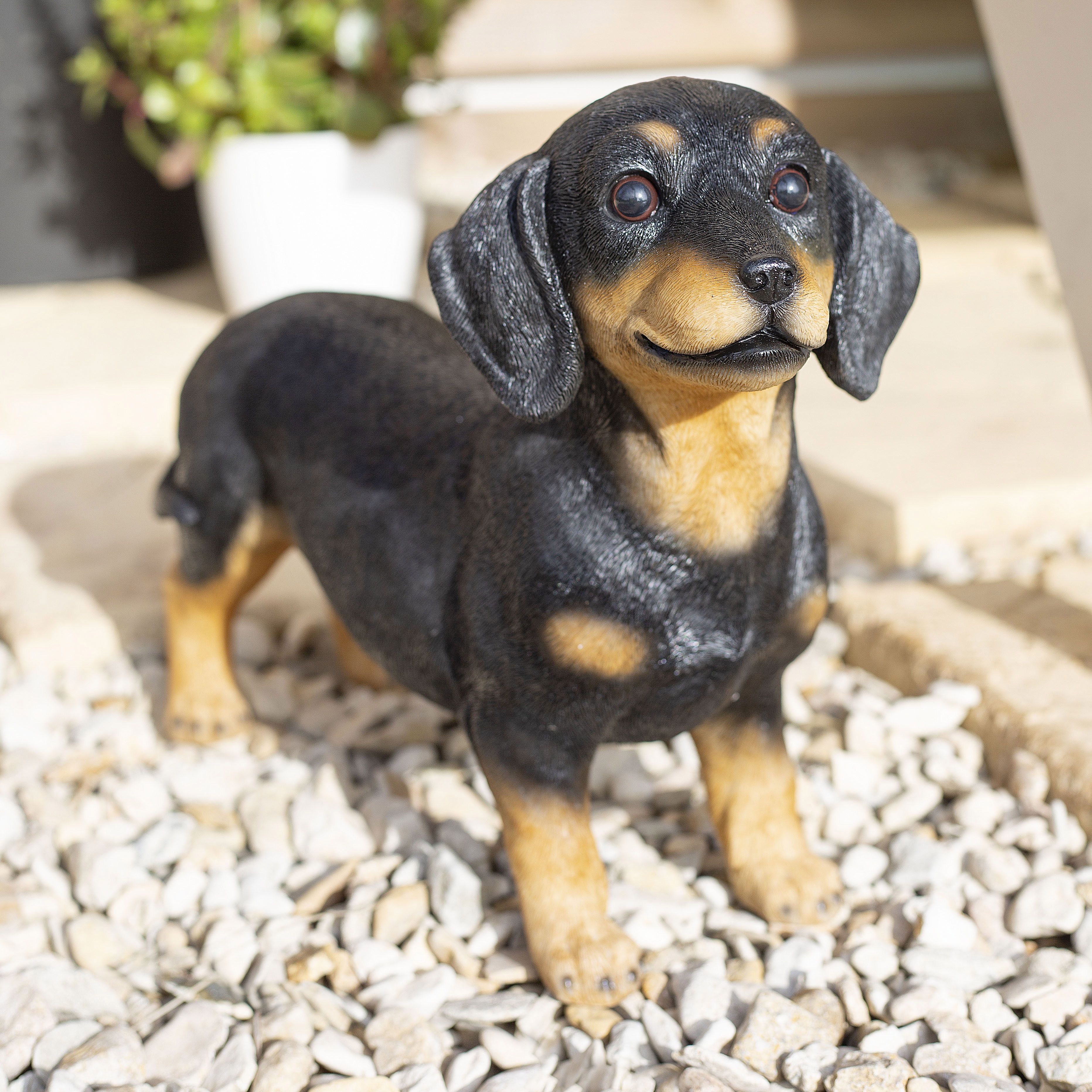 B&q sausage dog sale