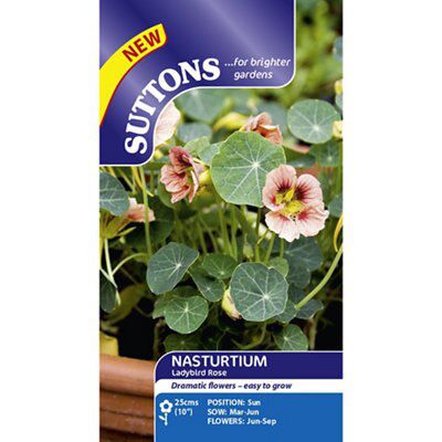 Ladybird rose Nasturtium Seed | DIY at B&Q