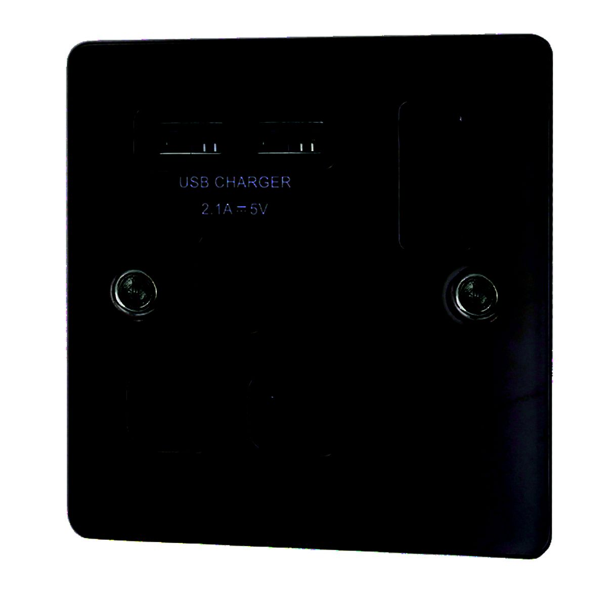 LAP Nickel effect USB socket, 2 x