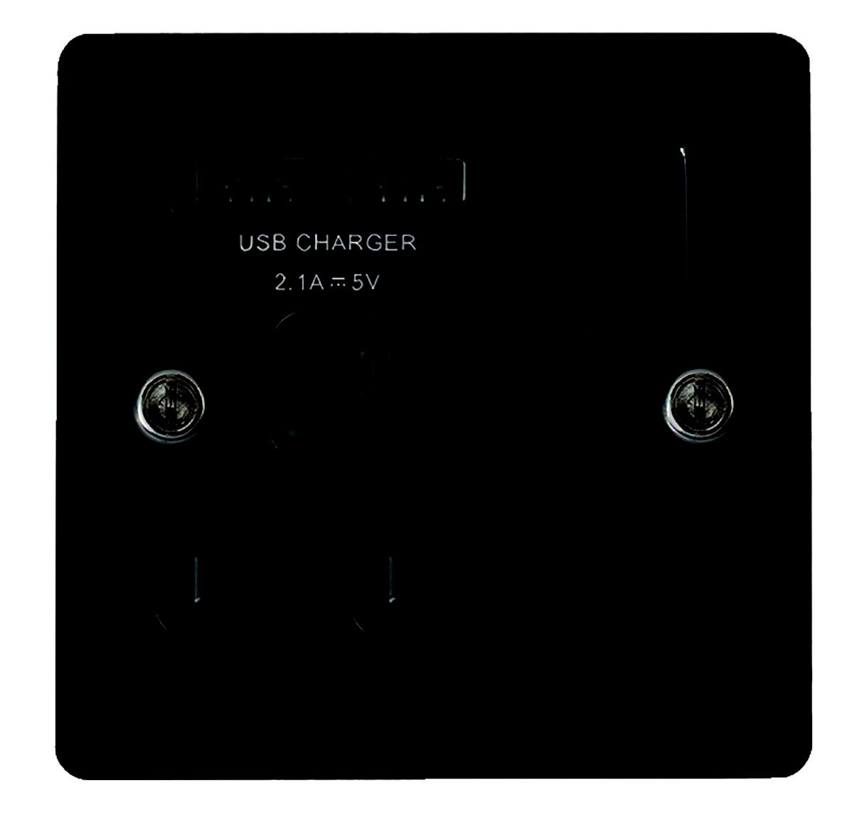 LAP Nickel effect USB socket, 2 x