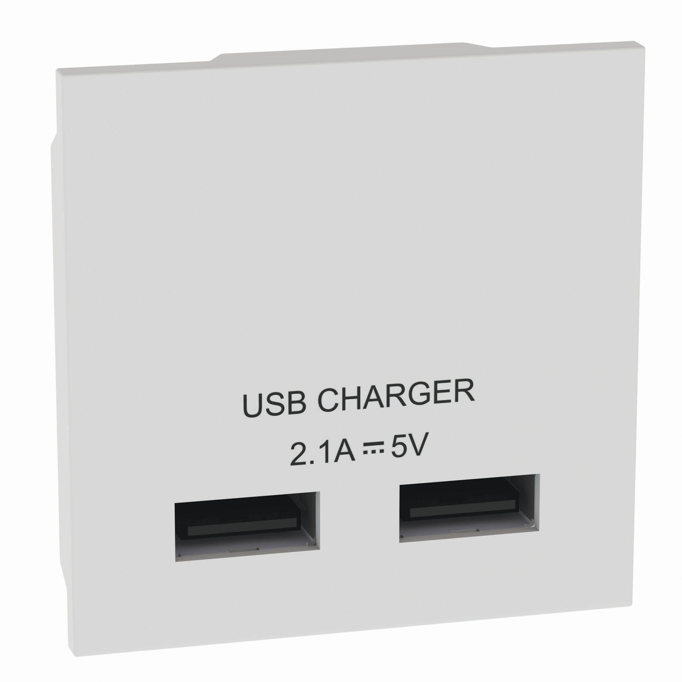 LAP White Modular USB socket