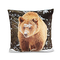 Larkin Bear Multicolour Cushion