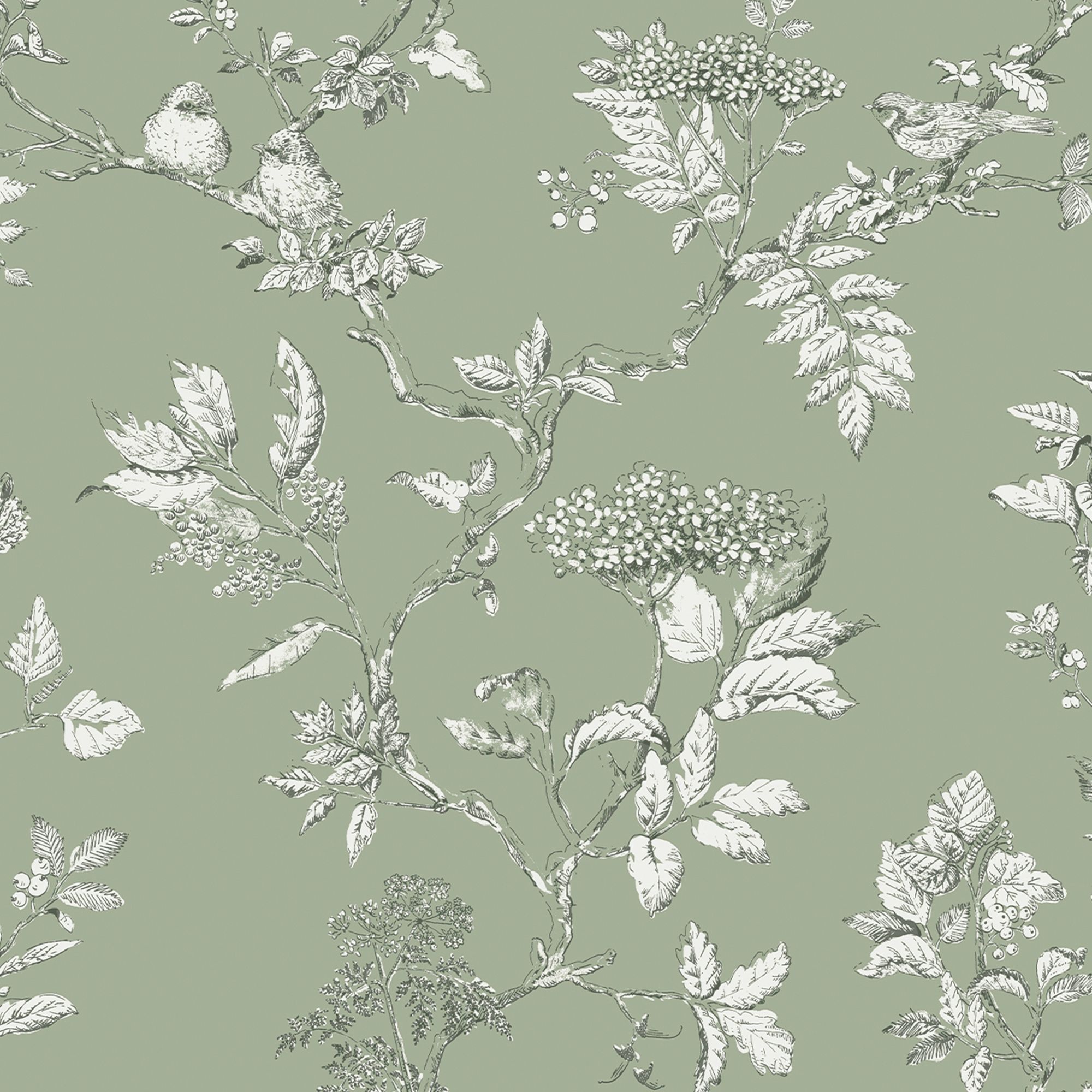 Laura Ashley Elderwood Sage Floral Smooth Wallpaper