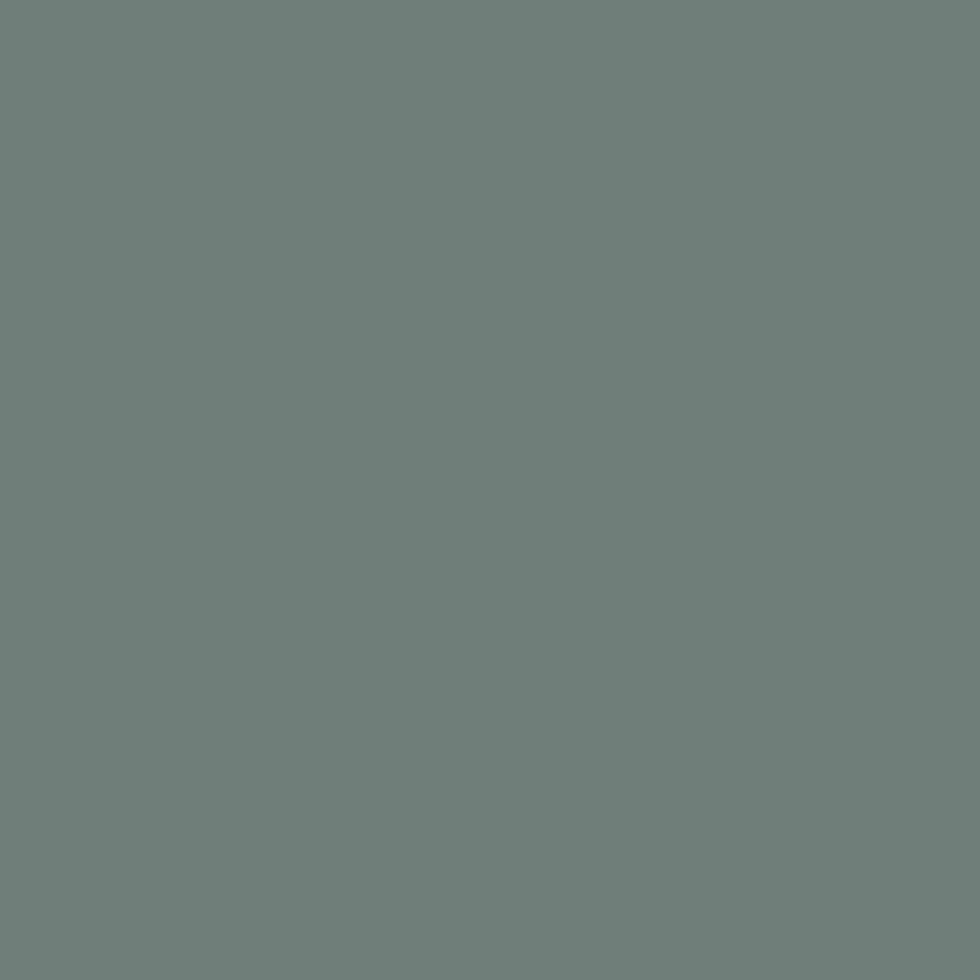 Laura Ashley Fern Matt Emulsion paint, 2.5L