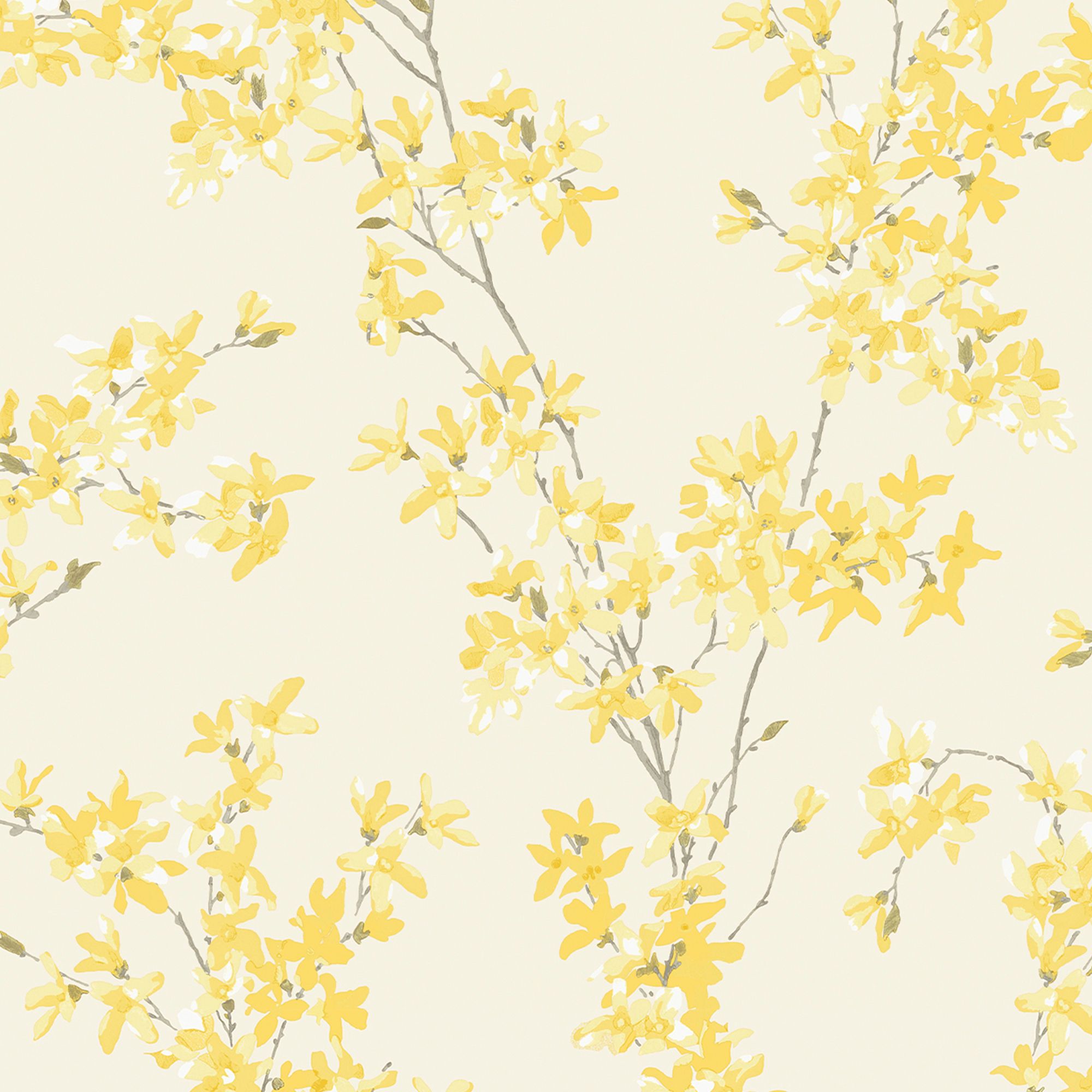 Laura Ashley Forstyhia Sunshine Floral Smooth Wallpaper