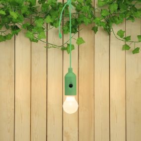 Lavagna Green Battery-powered Warm white Integrated LED Outdoor Decorative light