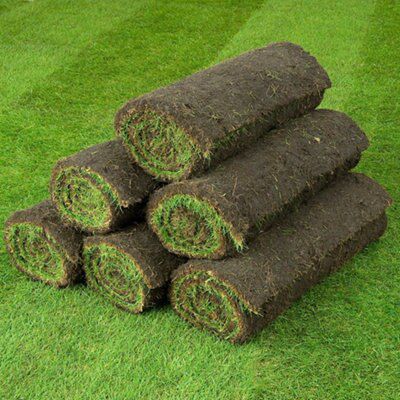 Lawn Turf, 0.84m² Pack | DIY At B&Q