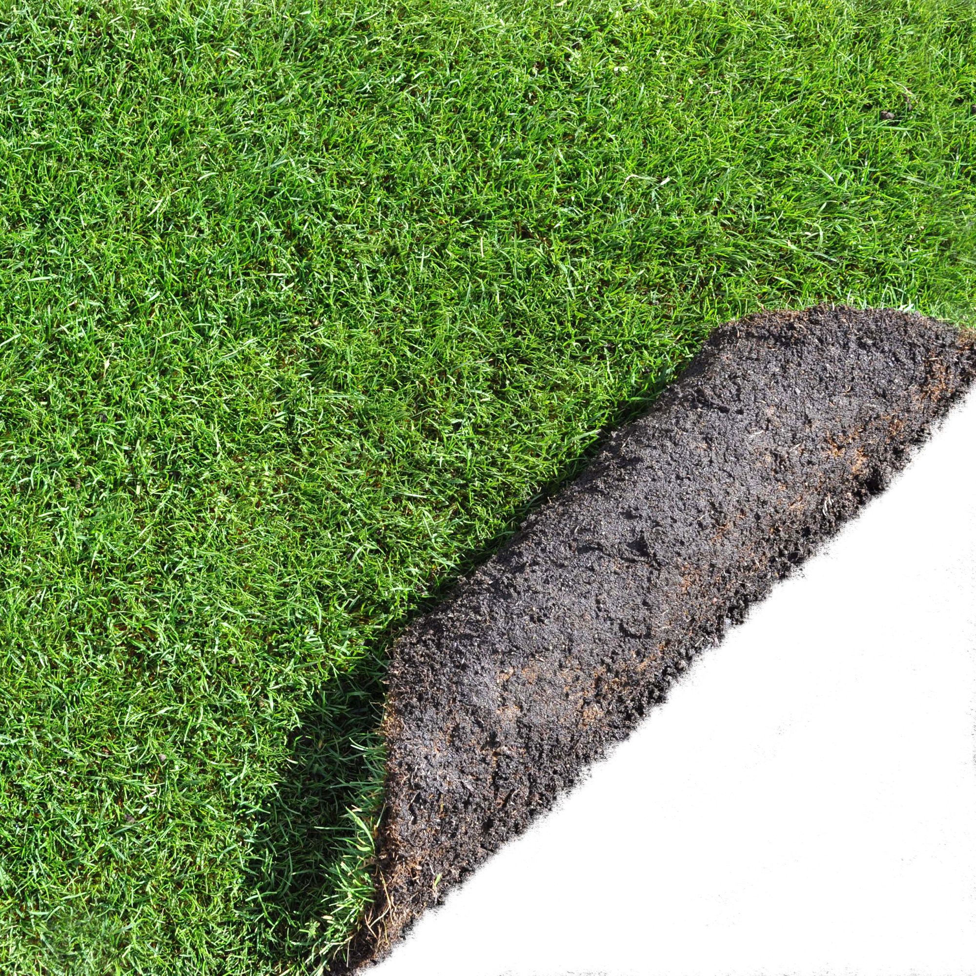 Lawn turf, 17m² 20 Rolls