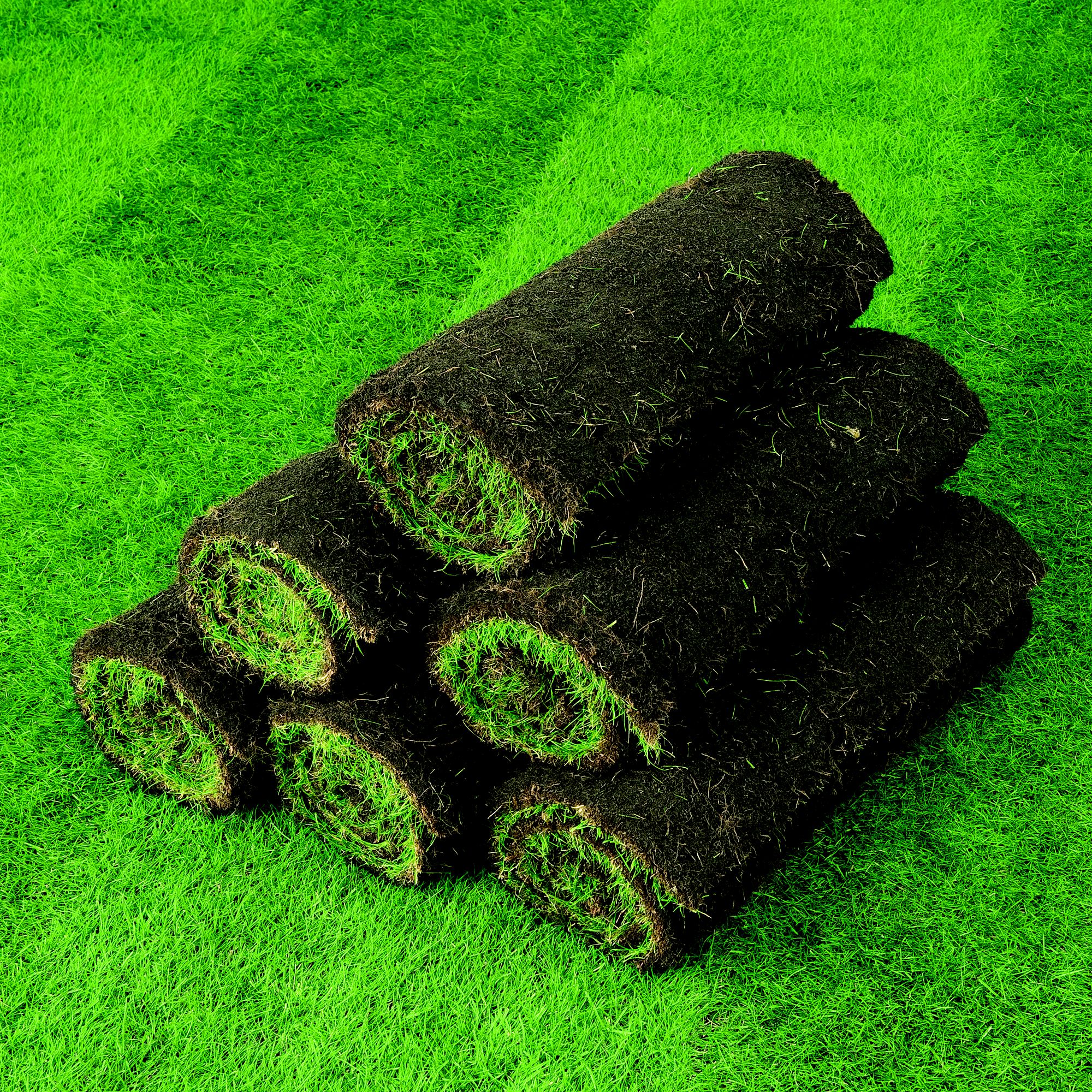 Lawn Turf 17m Pack Diy At B Q