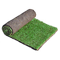 Lawn turf, 42m² Pack