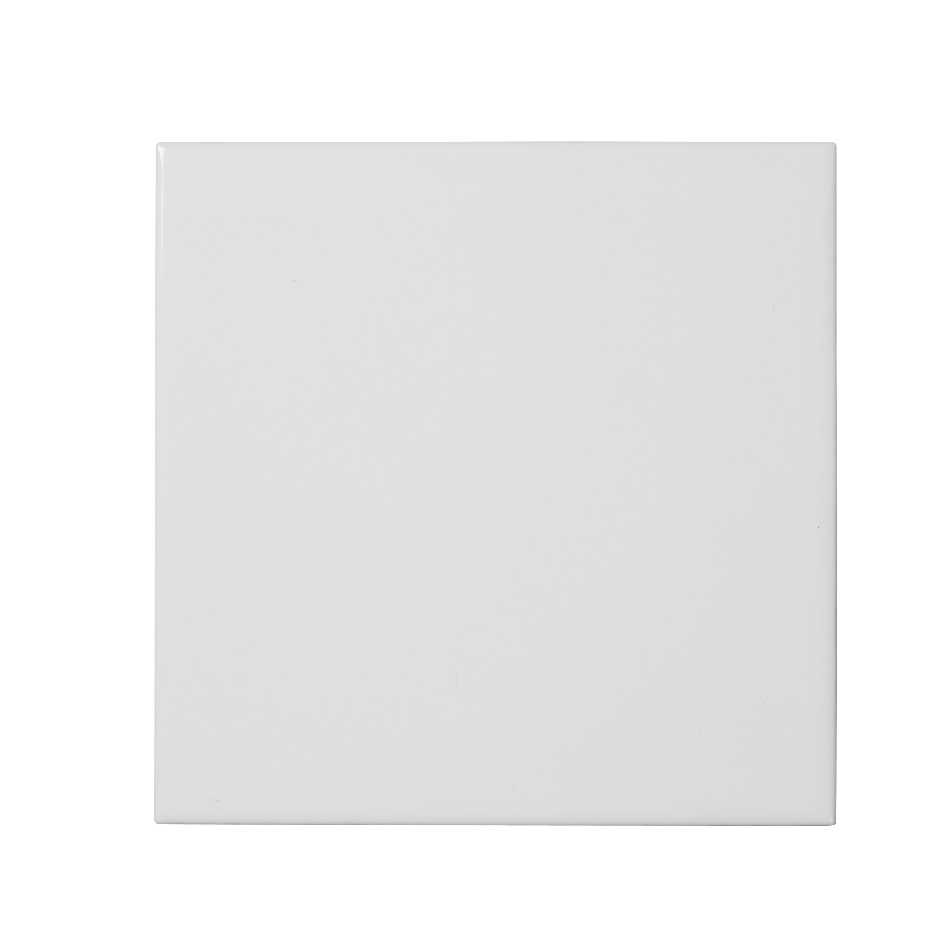 Leccia White Gloss Ceramic Indoor Wall Tile Sample