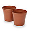 Lei Terracotta Plastic Round Grow pot (Dia)15cm, Pack of 3