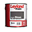 Leyland Trade Black Gloss Metal & wood paint, 2.5L