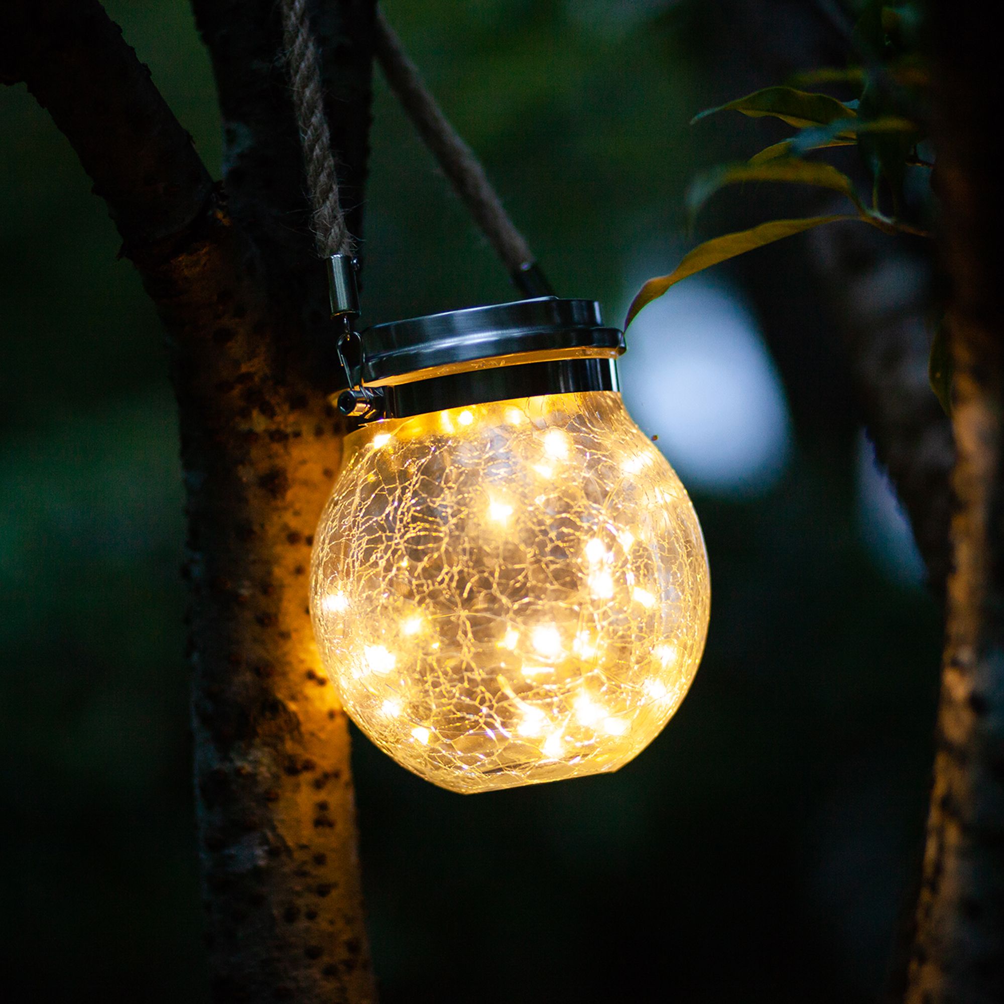 Clear bulb online solar string lights