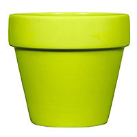 Lime Ceramic Plant pot (Dia)30cm