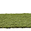 Linden Medium density Artificial grass (L)4m (W)1m (T)32mm