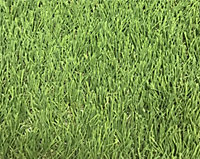 Linden Medium density Artificial grass (L)4m (W)1m (T)32mm
