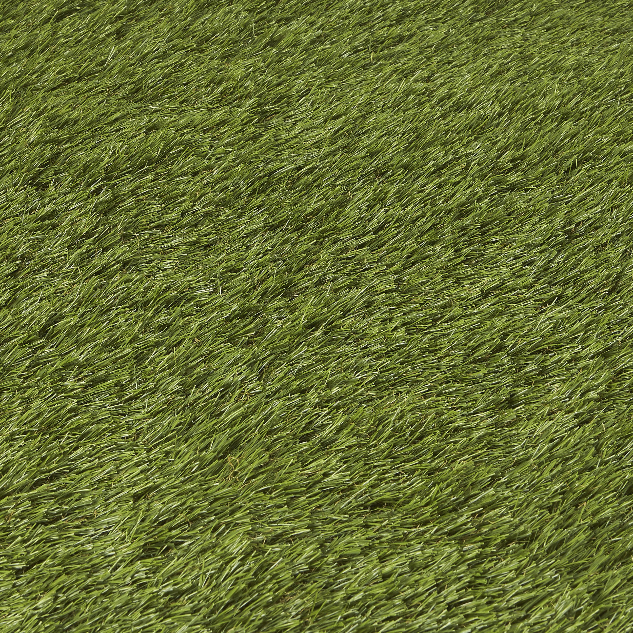 Linden Medium density Artificial grass Sample (L)0.24m (W)0.17m (T)32mm