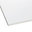 Liteglaze Clear Acrylic Flat Glazing sheet, (L)1.8m (W)0.6m (T)6mm