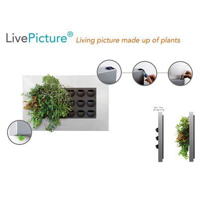 Living picture
