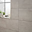 Lofthouse Zinc Matt Concrete effect Ceramic Wall & floor Tile, Pack of 6, (L)498mm (W)298mm