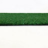 Low density Artificial grass (L)2m (W)2m (T)6.5mm
