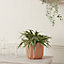Lummi Natural Terracotta Geometric stripes Circular Plant pot (Dia)15cm