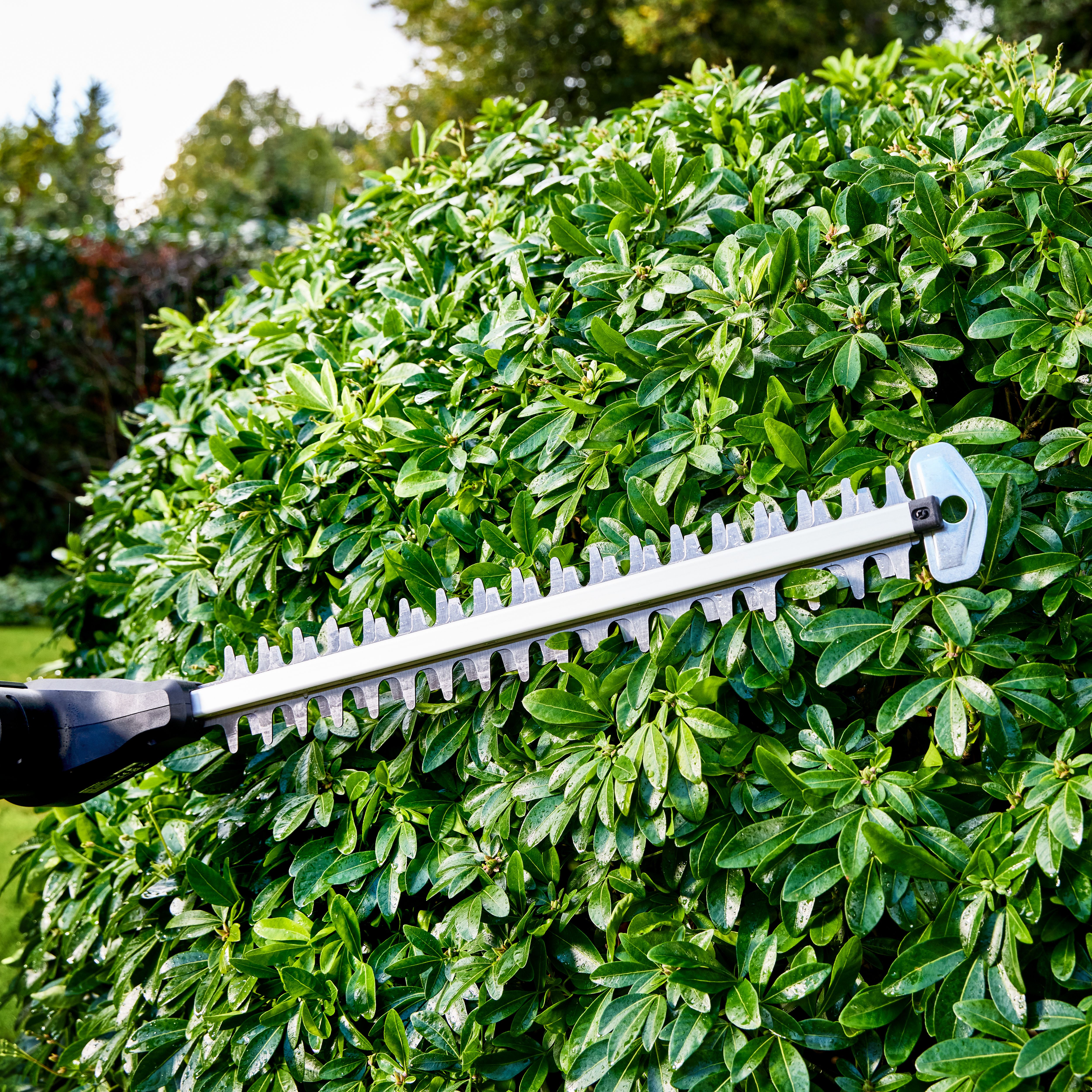 Mac Allister 18V Cordless 45cm Pole hedge trimmer (1 x 2Ah) - MPHT1845-Li