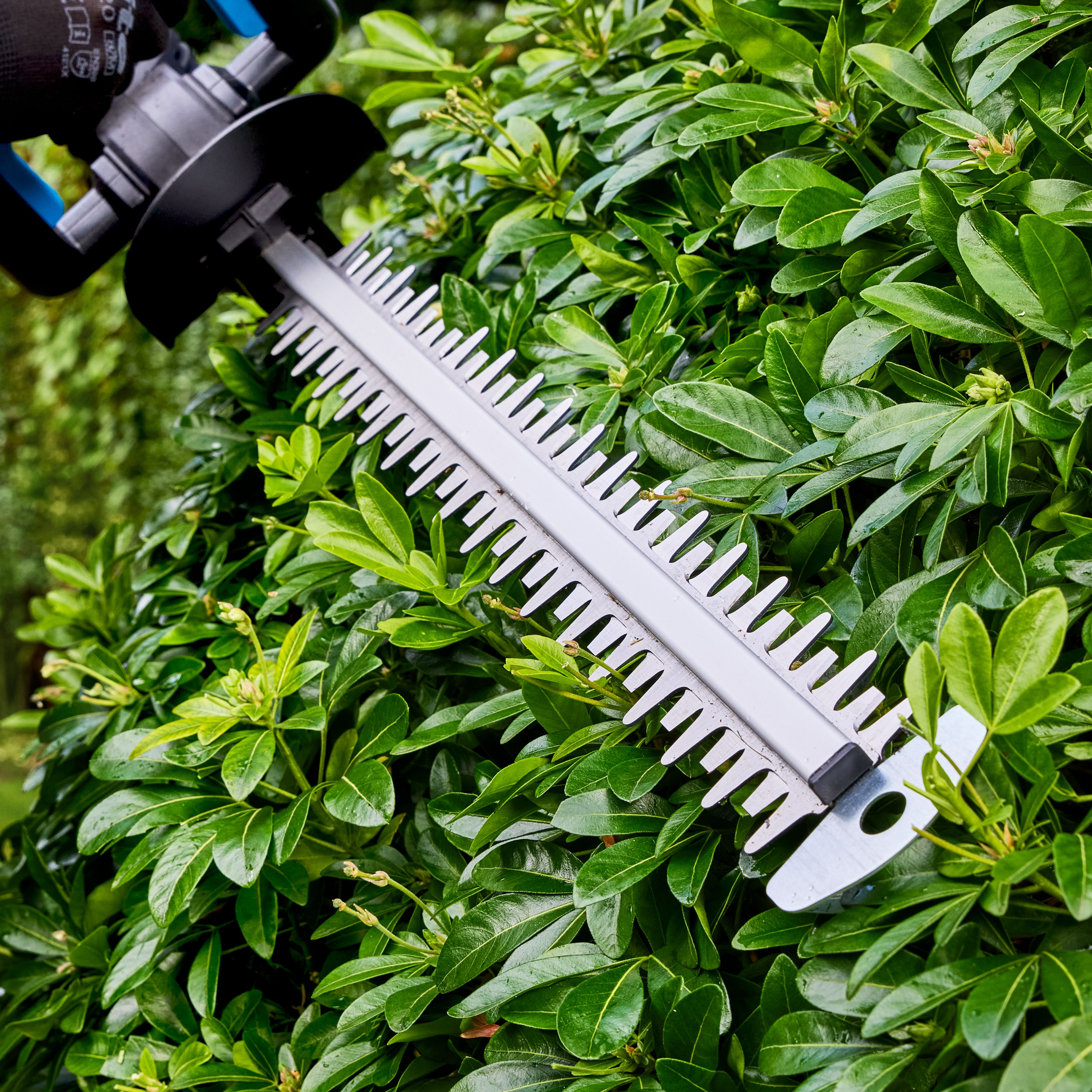 Mac Allister 18V Cordless 550mm Hedge trimmer (Bare Tool) - MCI1207GHT
