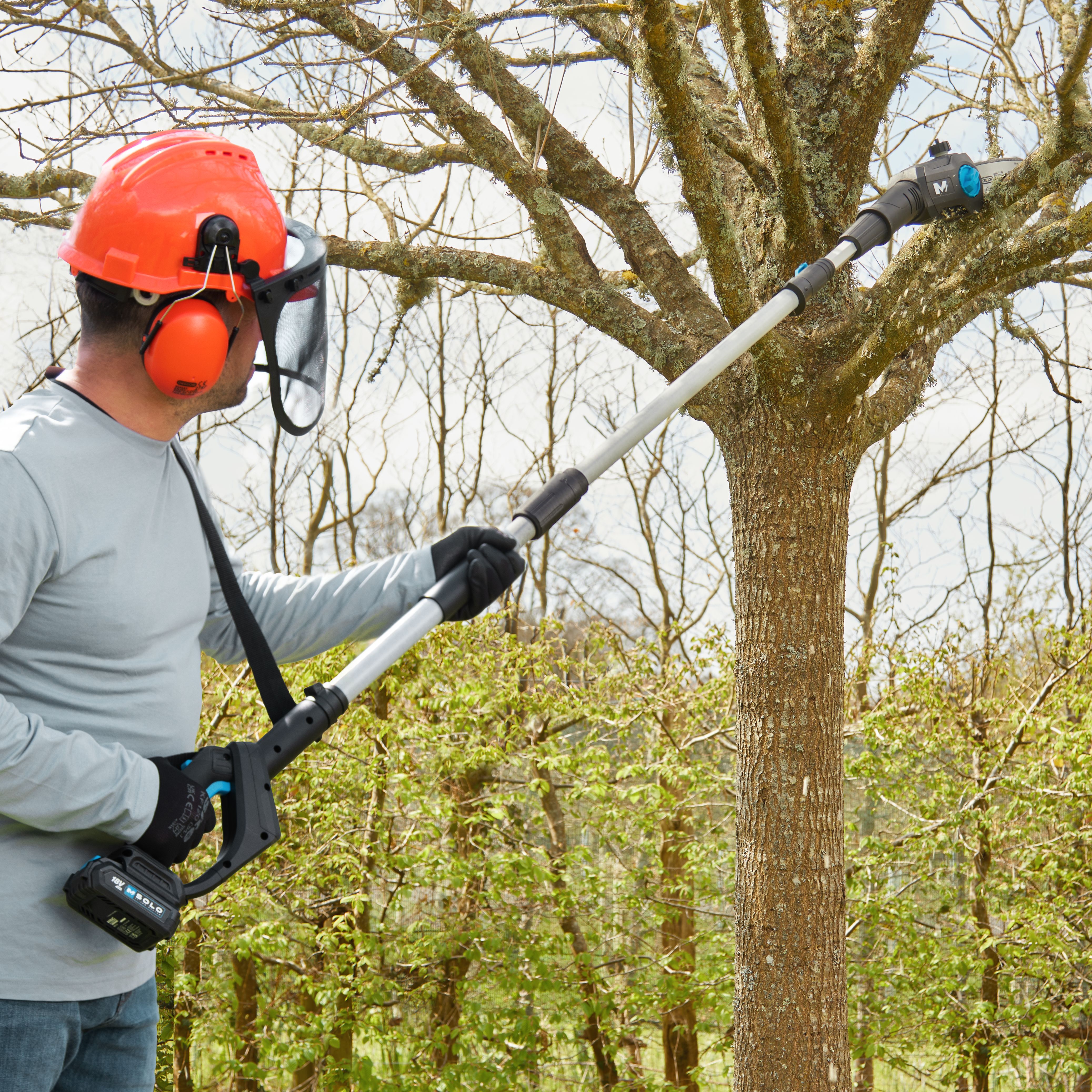 Macallister on sale pole saw