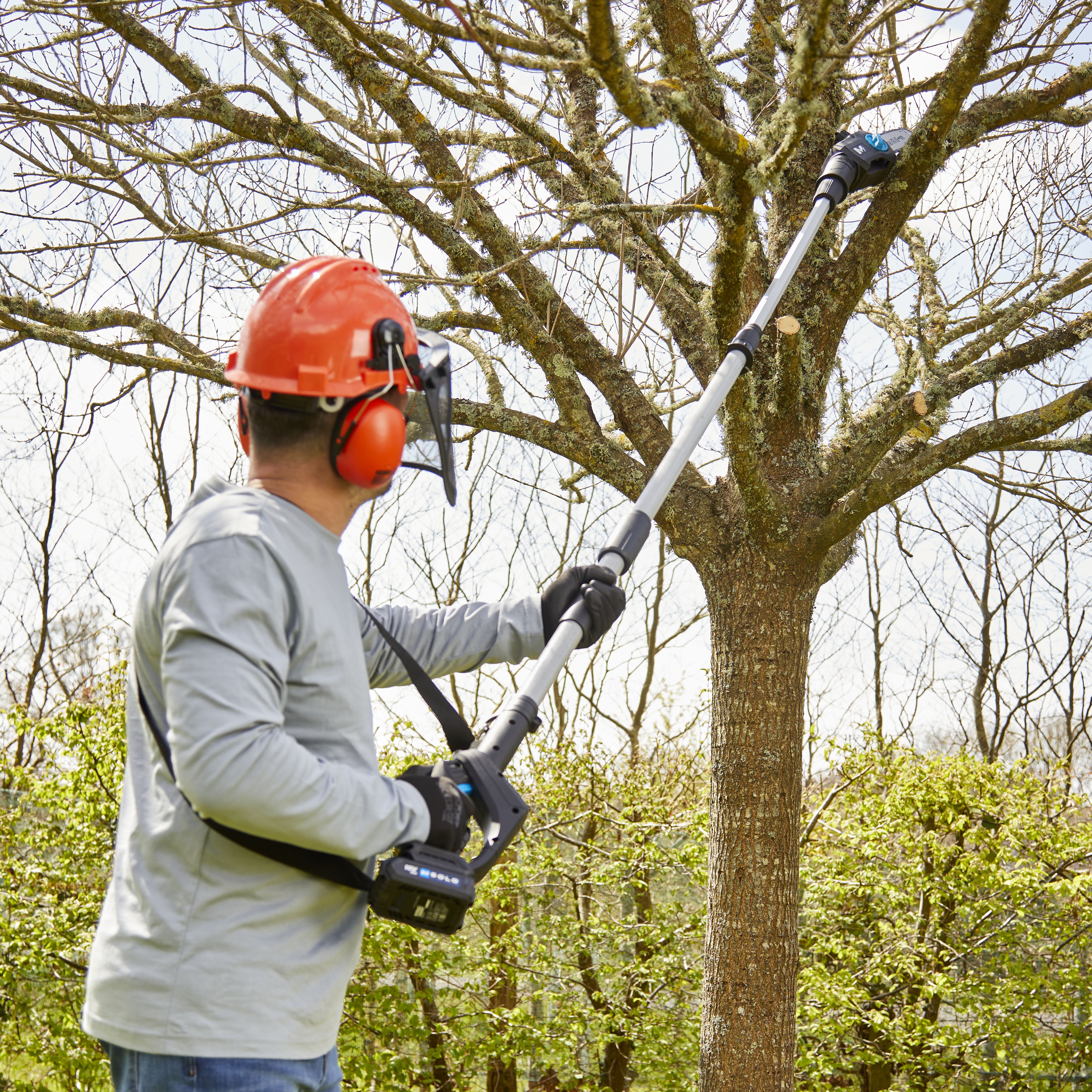 Macallister on sale pole saw