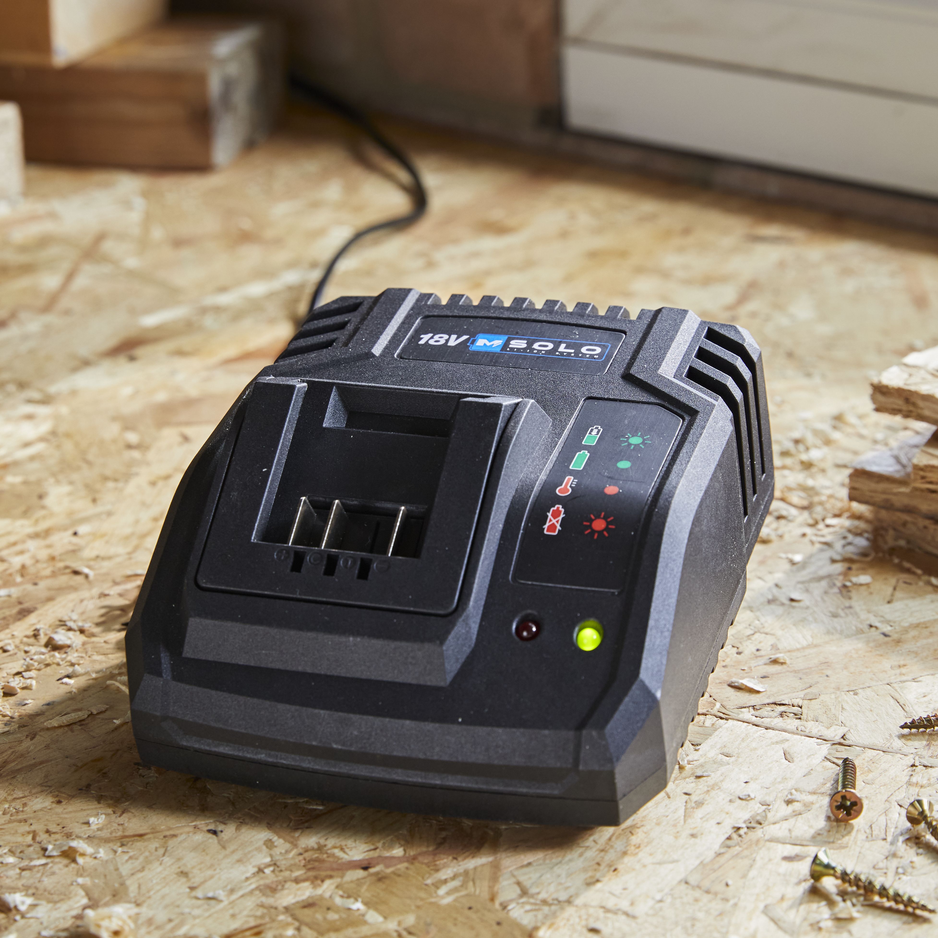 Bosch 18-V 8 Amp-Hour; Lithium-ion Battery Charger (Charger Included)