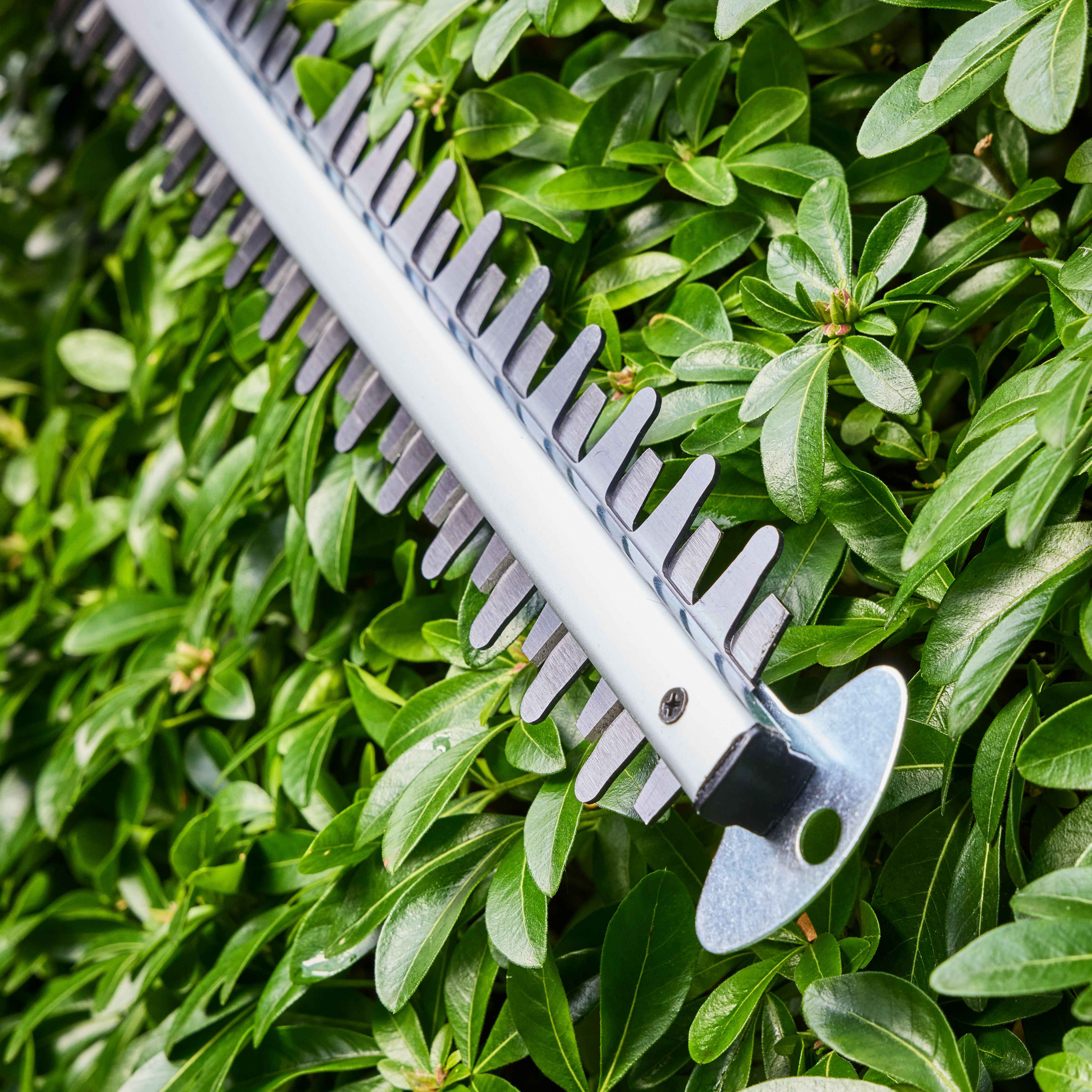Mac Allister MCB1177GHT Corded Electric - 510mm 20mm 550W 220-240V Dual action laser cut Hedge trimmer