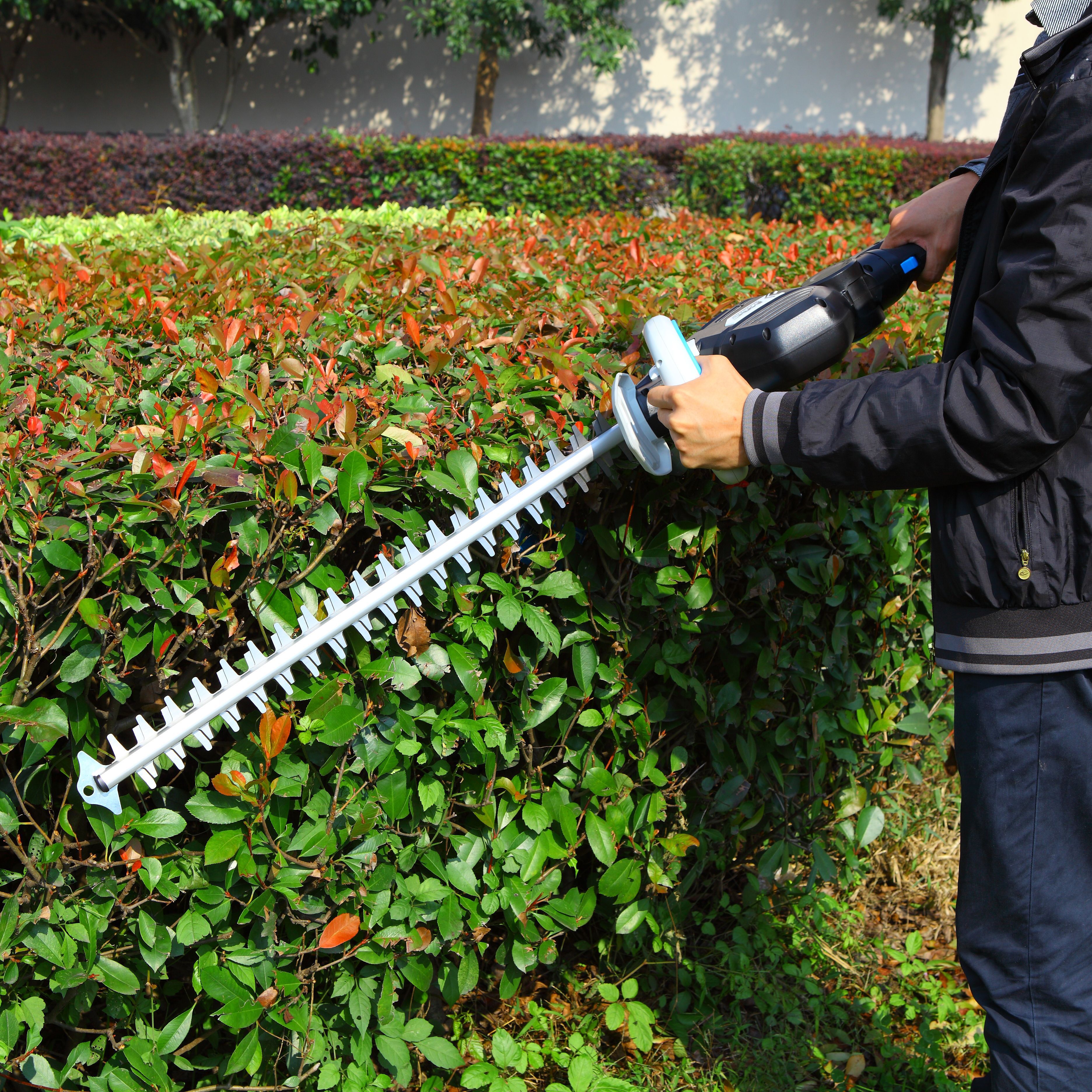 qualcast 600w hedge trimmer b&q