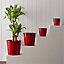 Mali Red Ceramic Plant pot (Dia)40cm