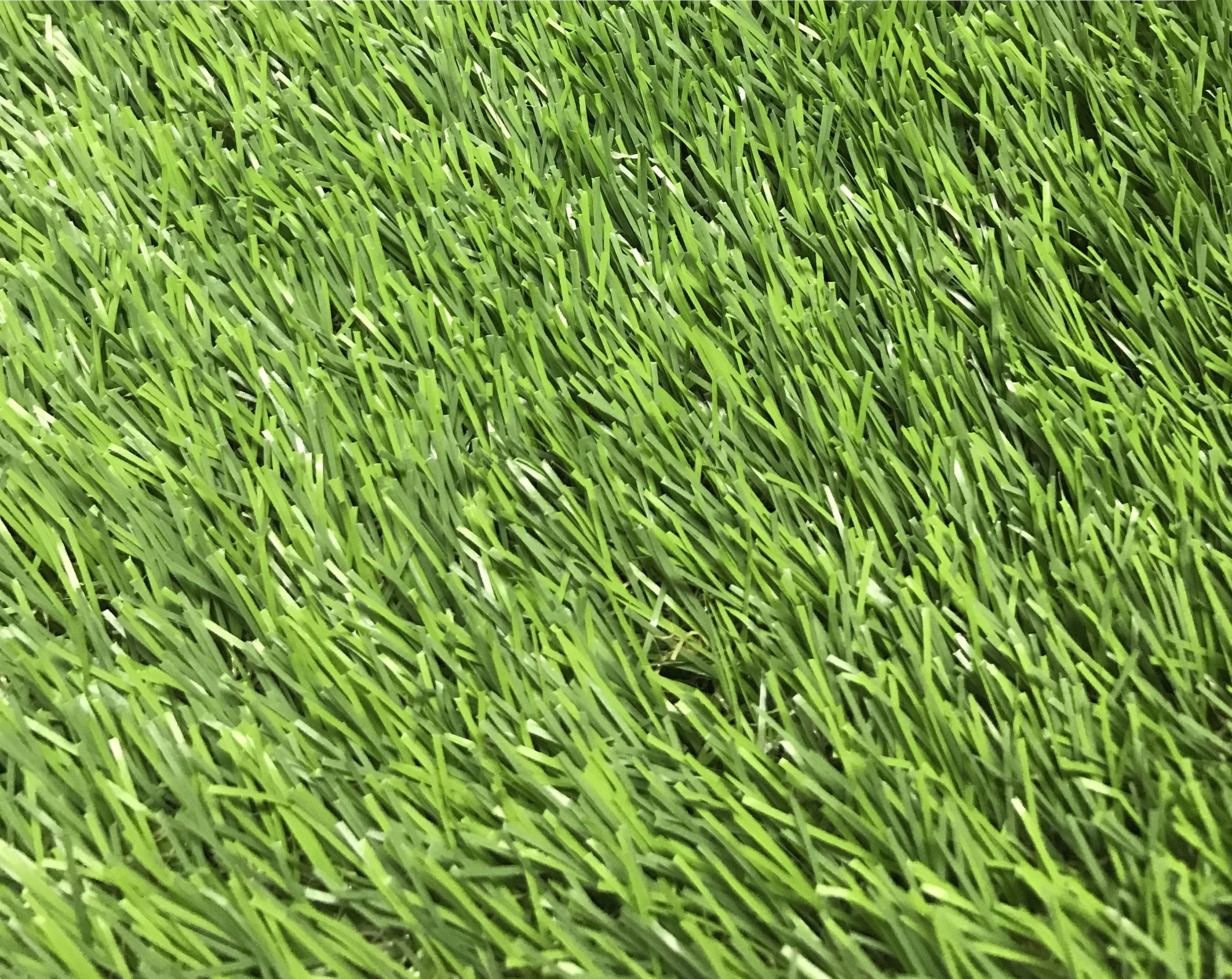 Maple Artificial grass 4m² (T)39mm DIY at B&Q