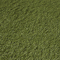 Maple High density Artificial grass Sample (L)0.24m (W)0.17m (T)39mm