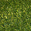 Marlow Medium density Artificial grass 6m² (T)19mm