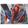 Marvel Spiderman evolution burst Multicolour Canvas art (H)800mm (W)600mm