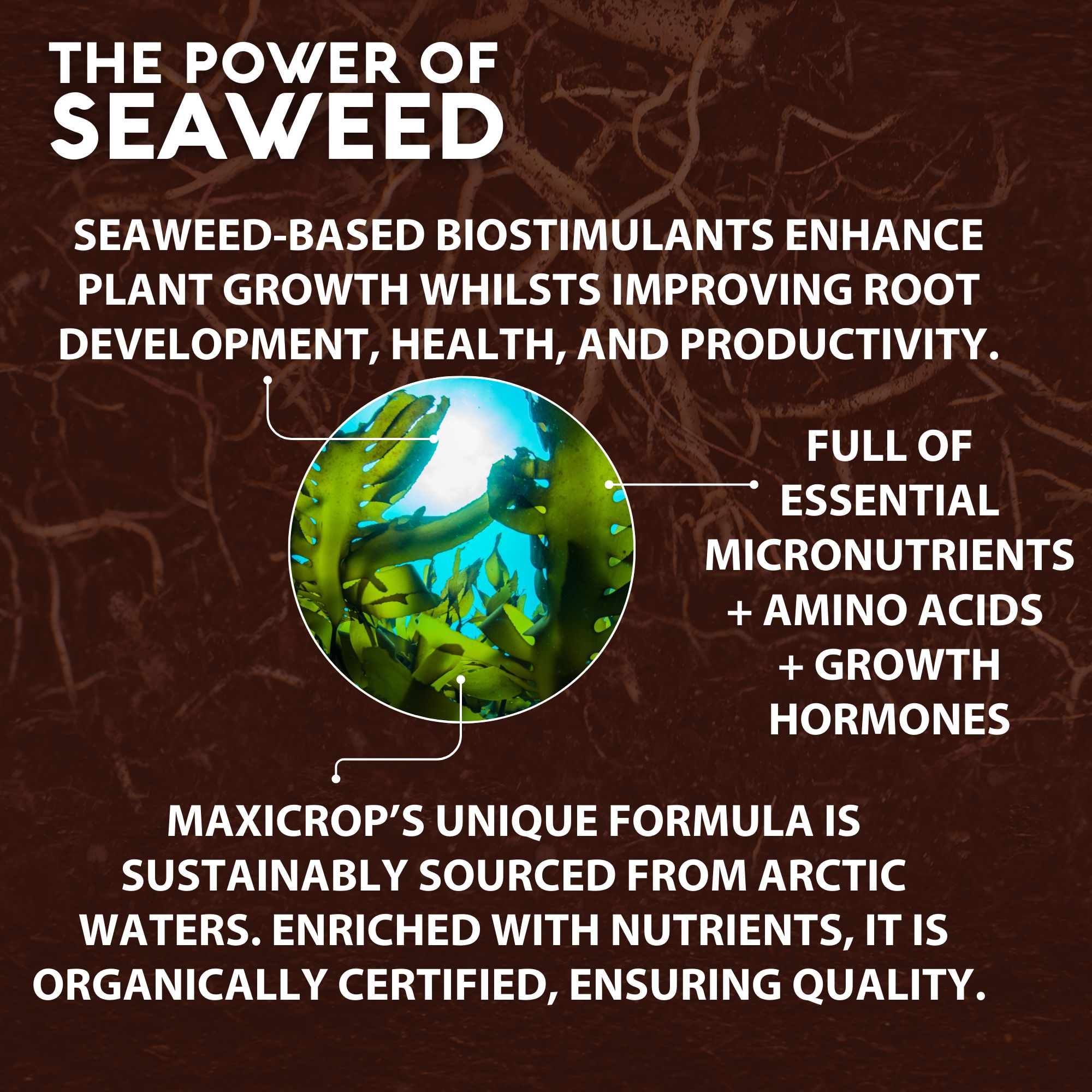 Maxicrop All purpose Universal Liquid Organic fertiliser 1L