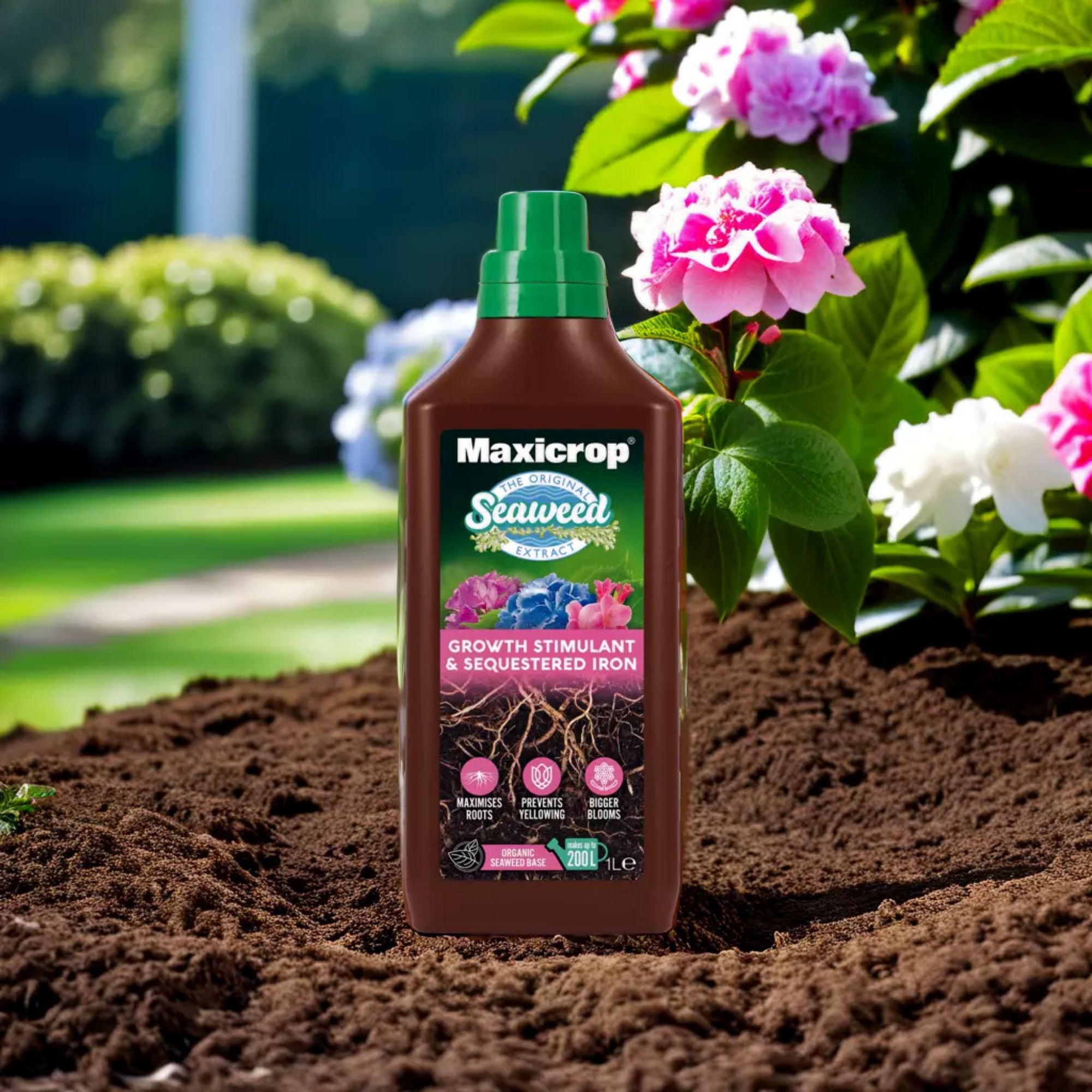 Maxicrop Liquid Growth stimulant & sequestered iron, 1L