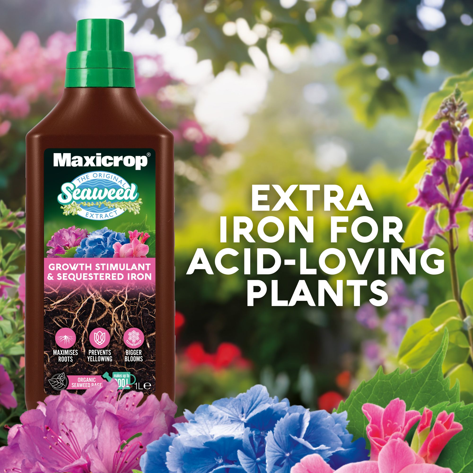 Maxicrop Liquid Growth stimulant & sequestered iron, 1L